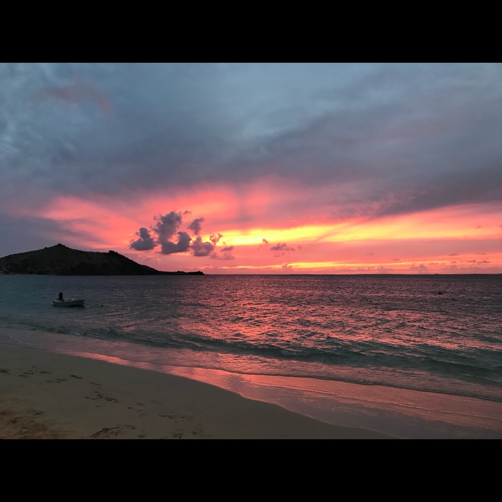 Meet your Posher, Leia